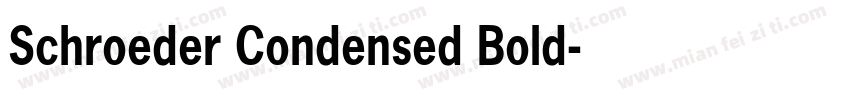 Schroeder Condensed Bold字体转换
